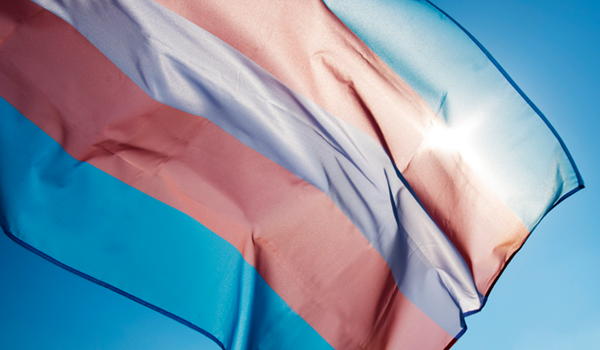 Transgender Flag